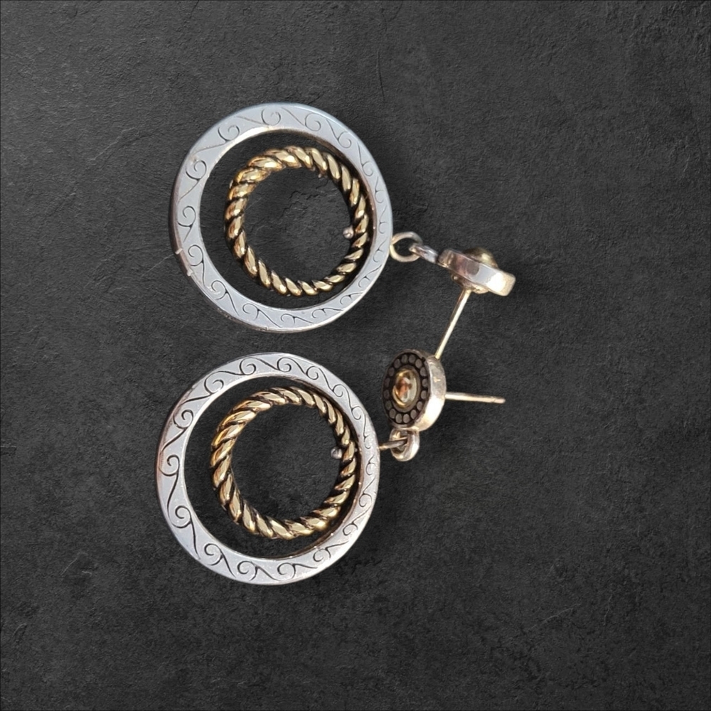 Elegant Silver and Gold Hoop Earrings